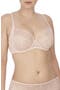  Cameo Rose/Cashmere