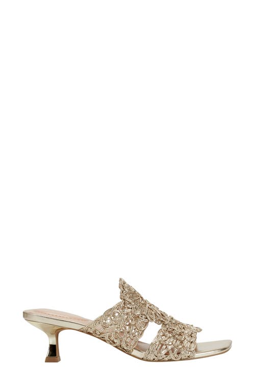 BANDOLINO BANDOLINO MELVANA SOUTACHE SANDAL