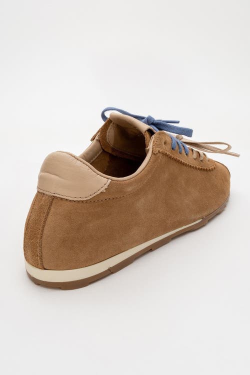 Forever & Always Shoes Crea Leather Sneakers In Cognac Suede Leather