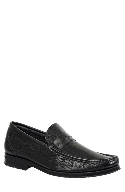 Sandro Moscoloni Cesar Loafer in Black