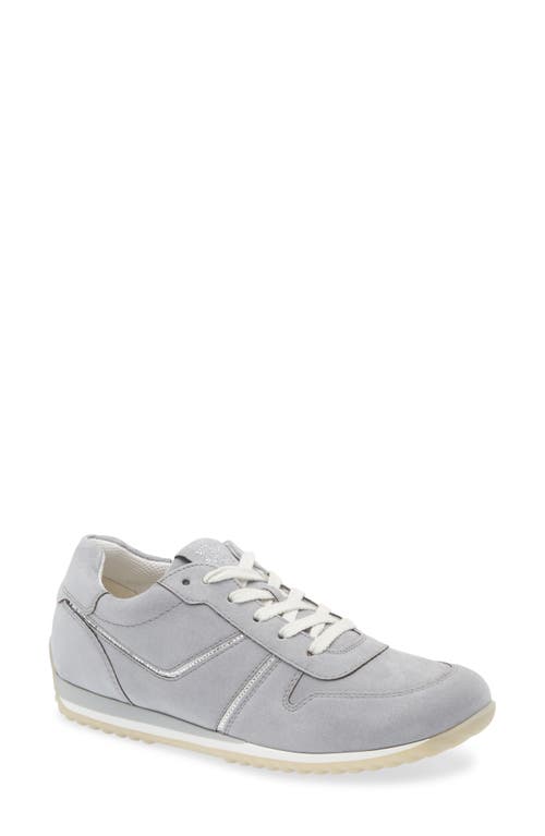 Paul Green Bella Sneaker in Grey Suede 