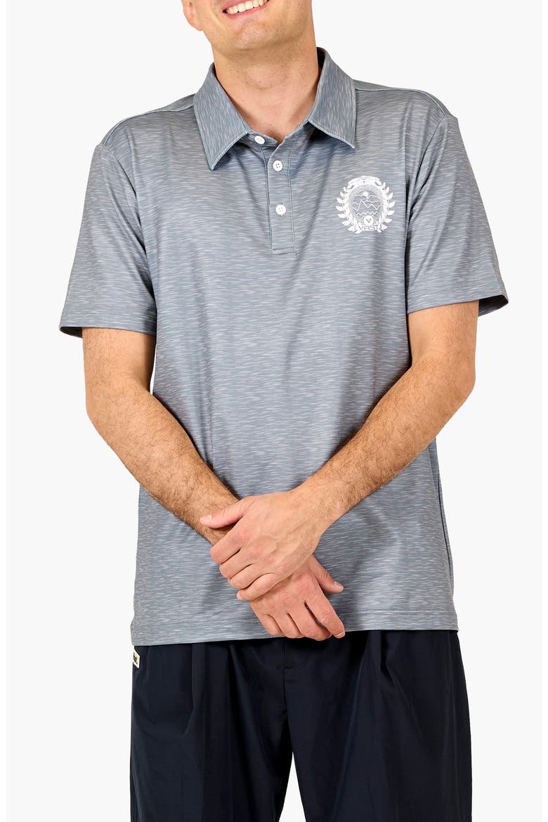 Between Waves Aqua Terra Performance Polo, Alternate, color, HEATHER GREY