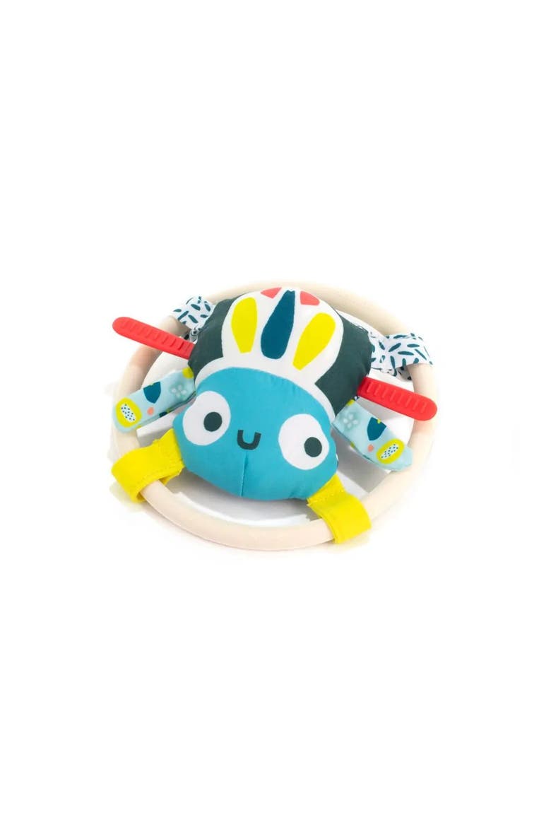 Feel To Learn Spider Rattle, Main, color, Blue-Green Multi