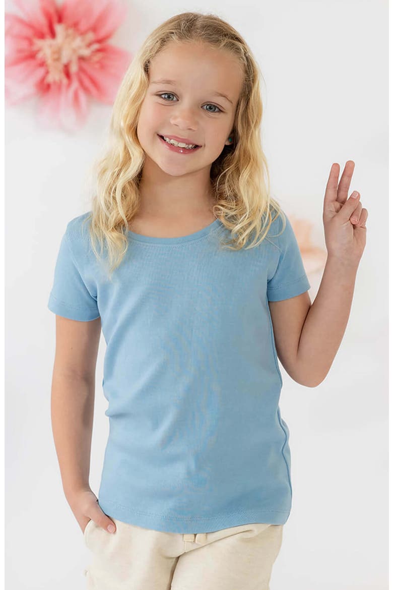 Organic Cotton Short Sleeve Ribbed Scoop Neck Tee, Alternate, color, Chambray