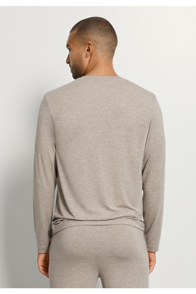 Casuals Long Sleeve V-Neck Top, Alternate, color, Hazelnut Melange