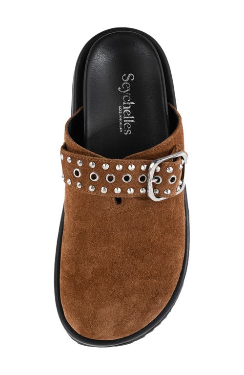 Seychelles Acclaim Clog In Brown
