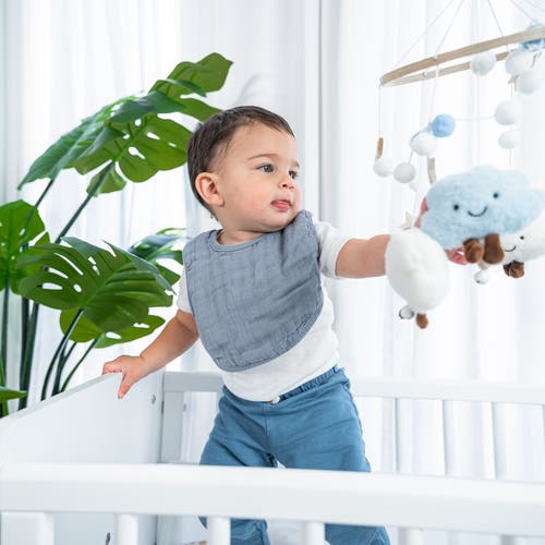 Comfy Cubs Muslin Bibs In Multicolor