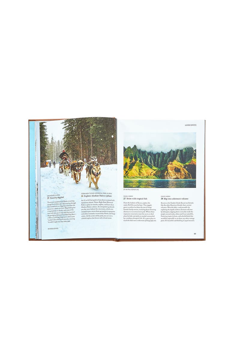 Graphic Image The Family Bucket List Leather Edition, Alternate, color, Tan