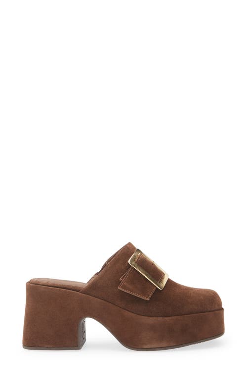 Chocolat Blu Haze Platform Mule In Brown