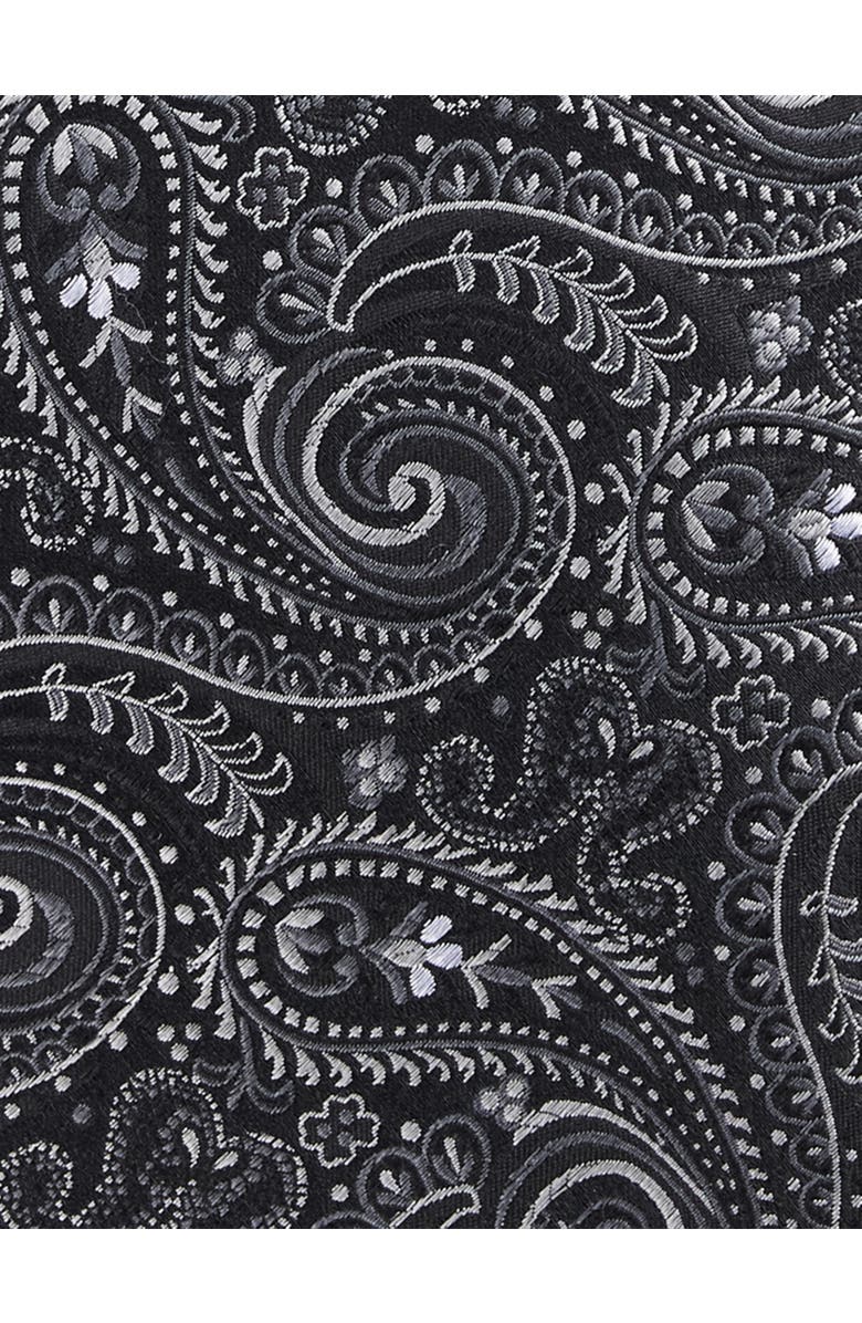 Oak Hill Premium by DXL Paisley Silk Tie, Alternate, color, 