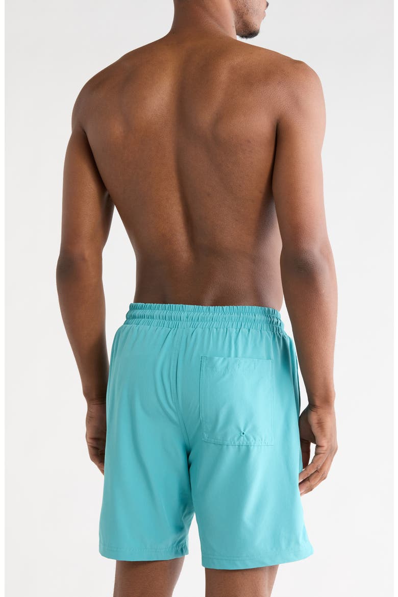 Passenger Volley Swim Shorts, Alternate, color, VAPOR GREEN