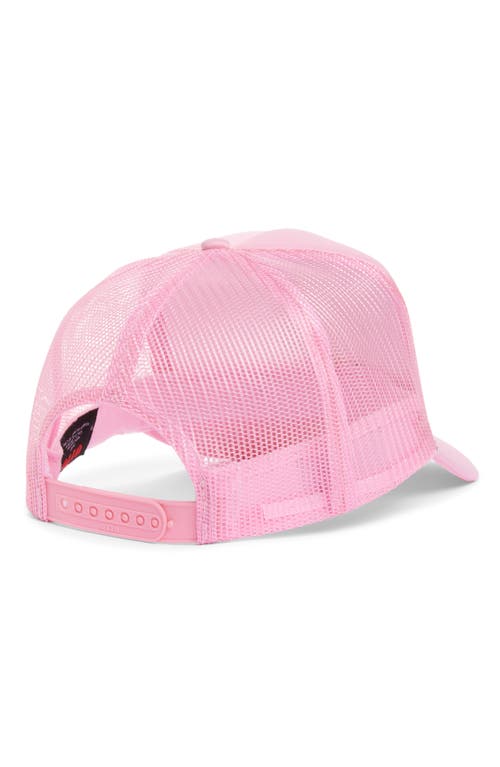 Ashley Williams Pink Maltese Trucker Hat In Pink
