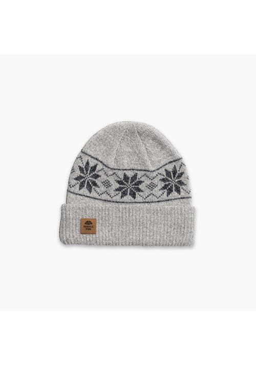 Turtle Fur Mount Snow Wool Beanie In Gray
