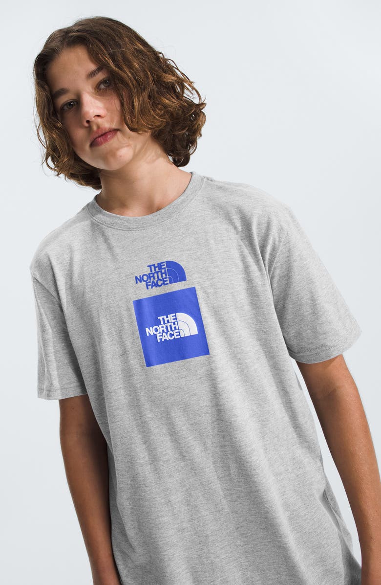The North Face Graphic Logo T-Shirt, Alternate, color, 