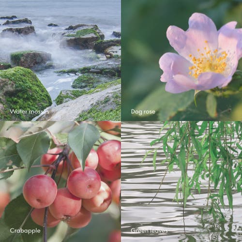 Skandinavisk Øy Scent Diffuser 100ml In Blue-green