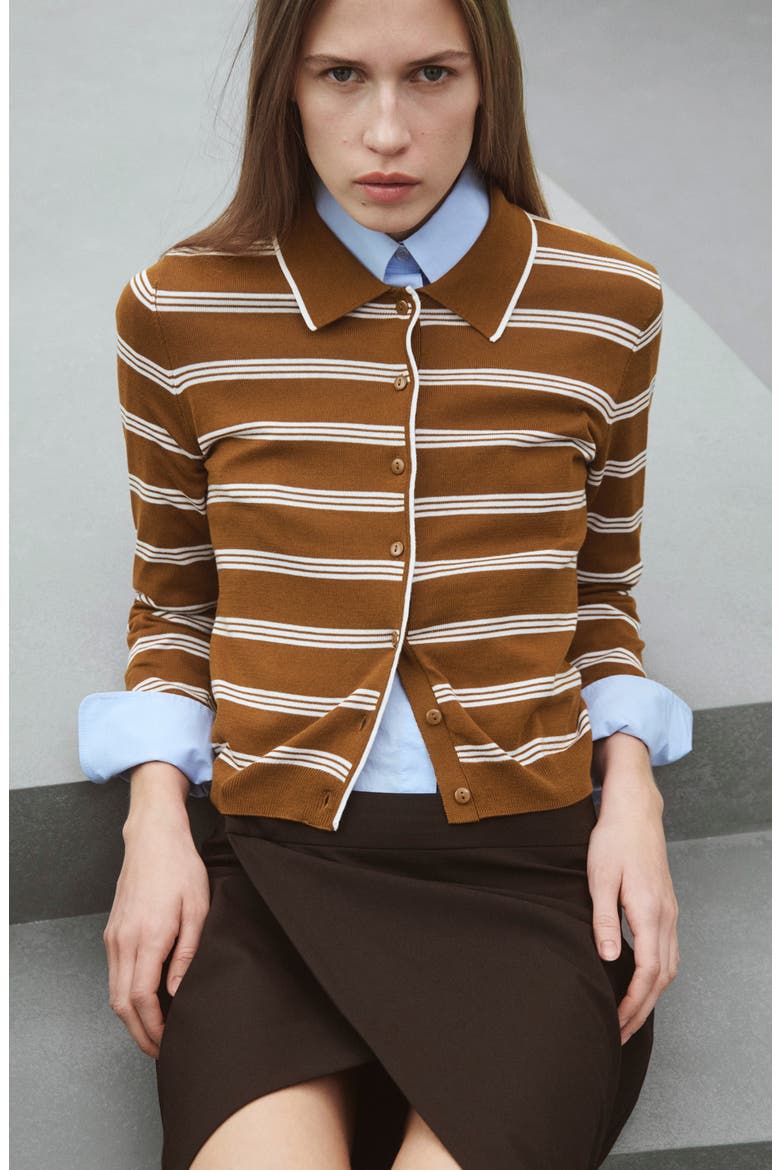 Stripe Collared Cardigan, Alternate, color, CARAMEL