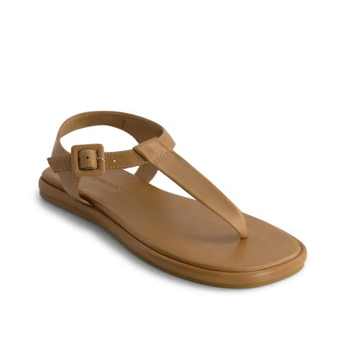 Shop Bernardo Footwear Tucson T-strap Sandal