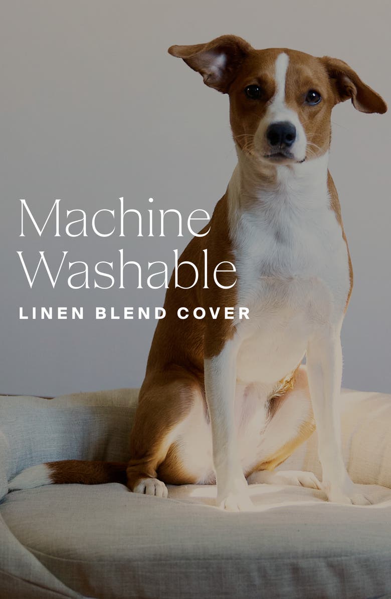 HigherDOSE Infrared PEMF Pet Bed, Alternate, color, 