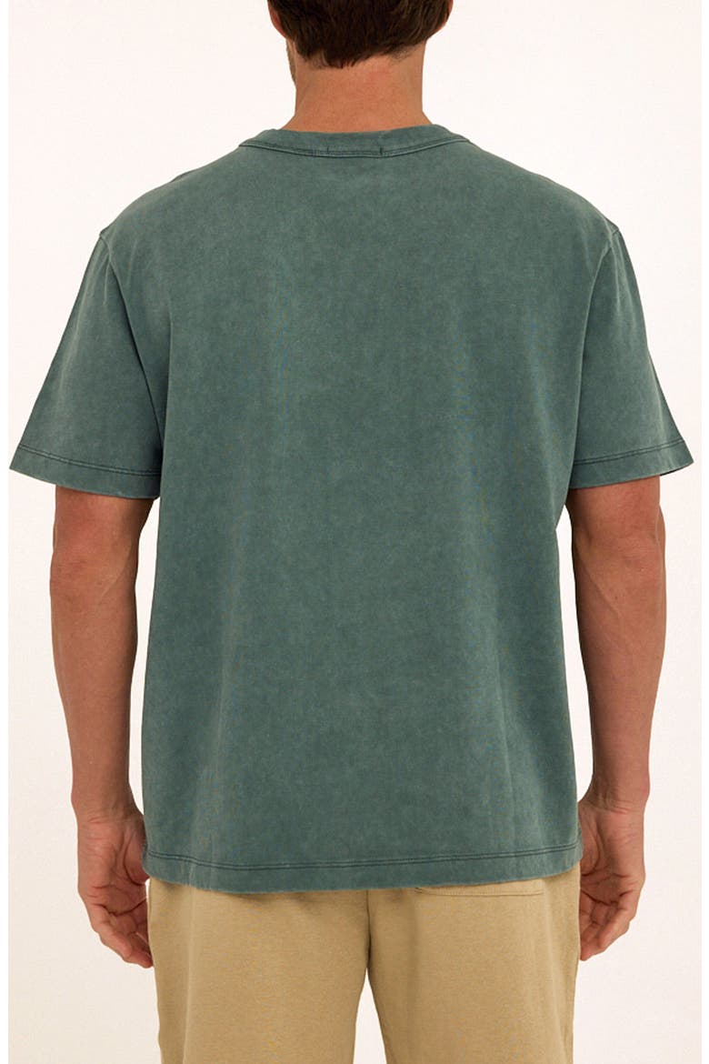 Desert Life Cotton Graphic T-Shirt, Alternate, color, PEACOCK