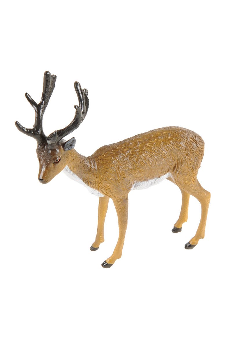 North American Wildlife - Set of 13, Alternate, color, Multicolored