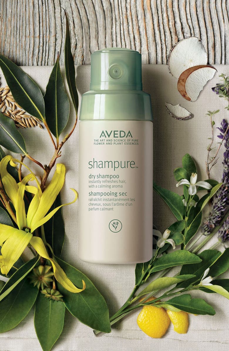 Aveda shampure<sup>™</sup> Dry Shampoo, Alternate, color,