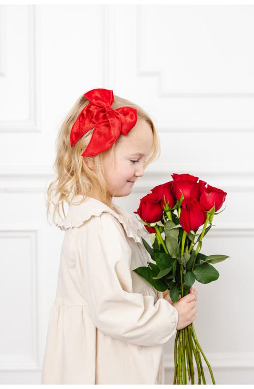 Little Poppy Co The Bow Clip Set In 982