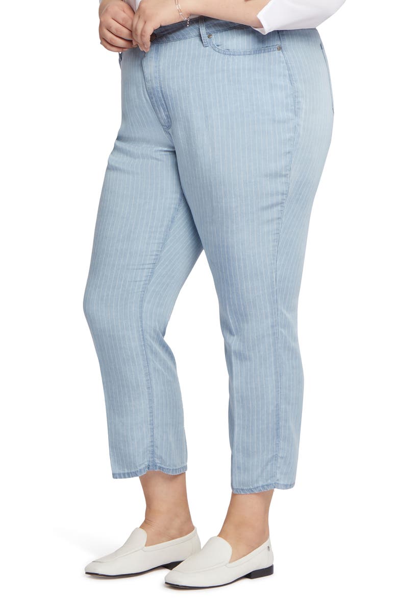 Relaxed Ankle Straight Leg Jeans, Alternate, color, SUMMERVILLE STRIPES