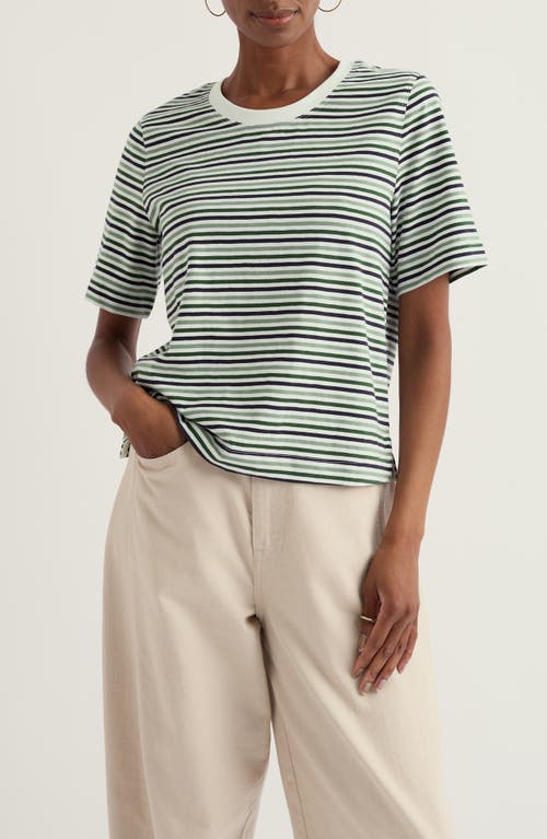 Seasalt Cornwall Copseland Stripe Organic Cotton T-Shirt in Pellitras Treetop at Nordstrom, Size 12