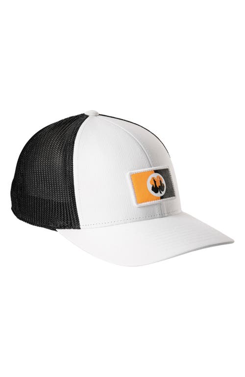 Black Clover New York Clover Patch Snapback Hat In White