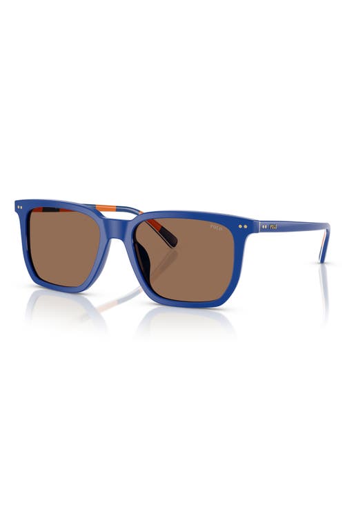Ralph Lauren Ralph By 55mm Rectangular Sunglasses In Dark Brown