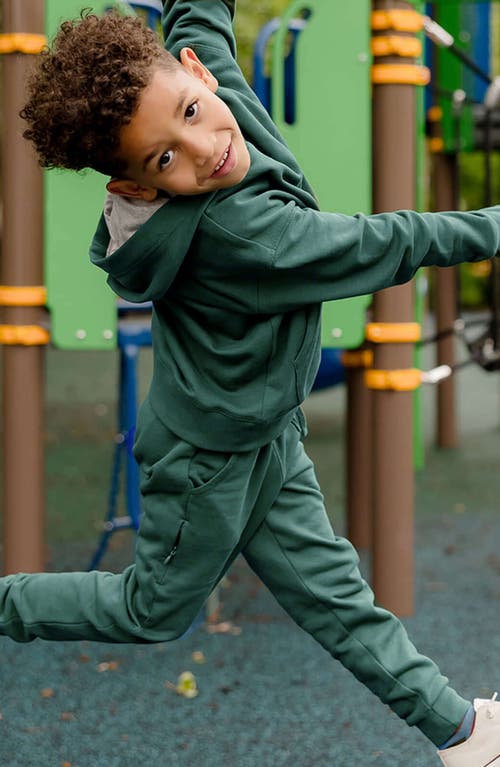 Shop Mightly Organic Cotton Pullover Pocket Hoodie In Forest Green
