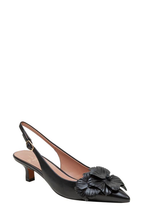 Linea Paolo Castiel Slingback Pointed Toe Kitten Heel Pump in Black 
