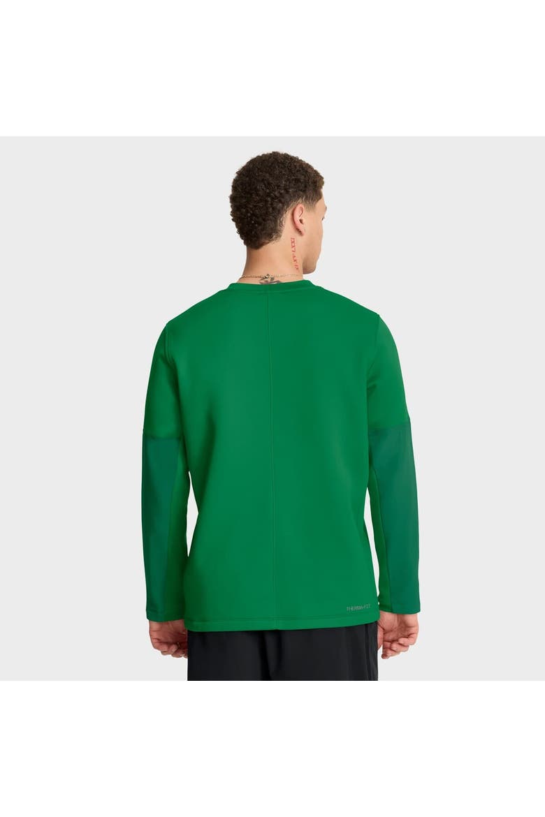 Men's Nike Green Oregon Ducks 2025 Sideline Coach Performance Long Sleeve T-Shirt, Alternate, color, Green