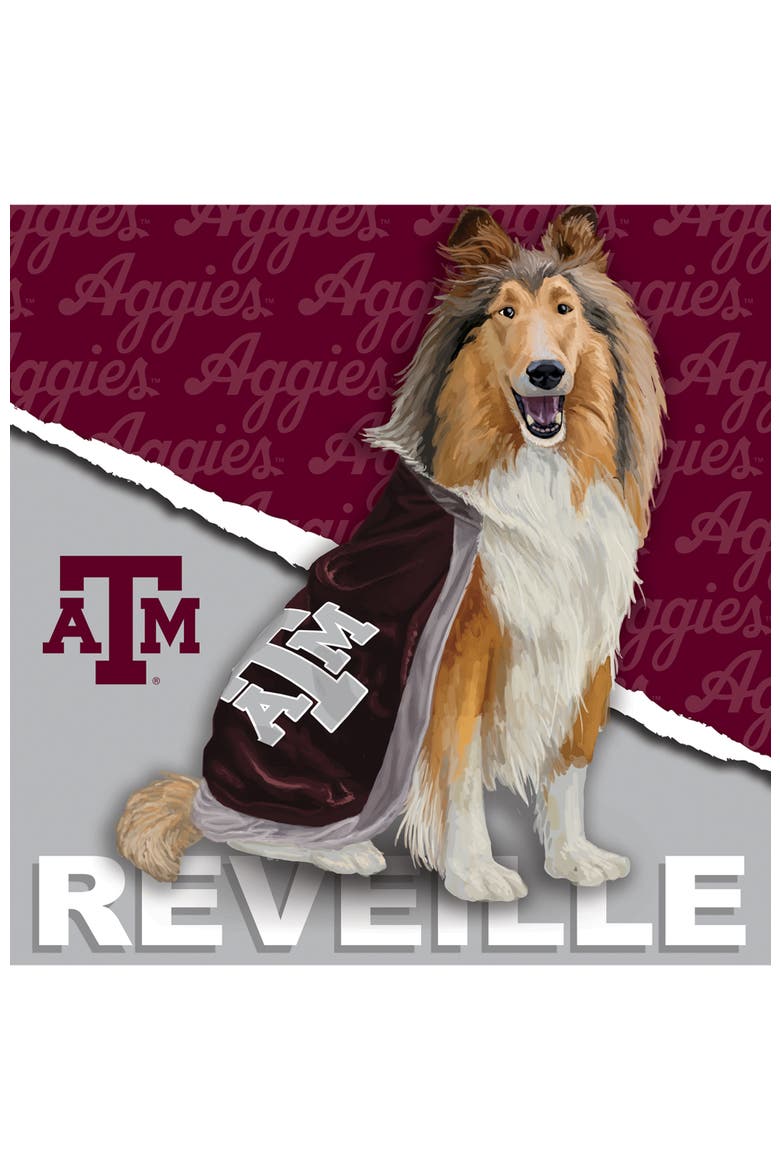 Texas A&M Aggies Mascot 100 Piece Puzzle, Alternate, color, Multicolor