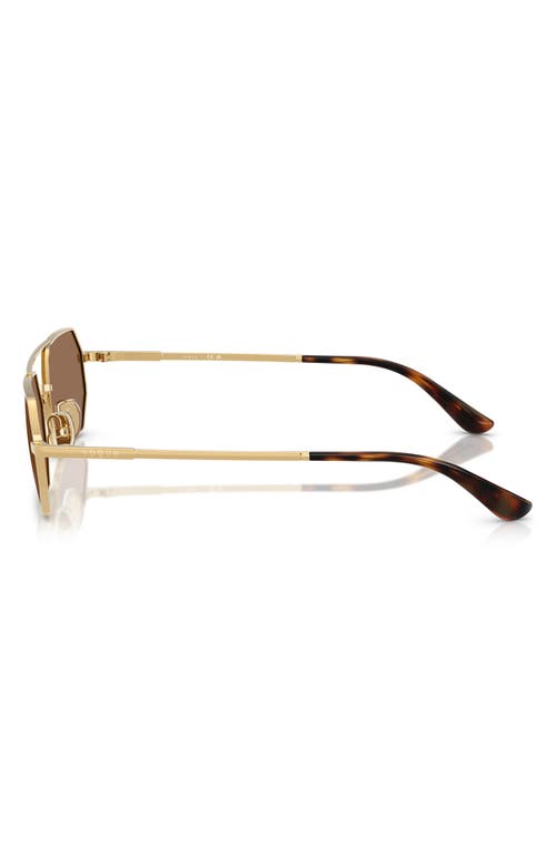 Vogue 55mm Irregular Sunglasses In Gold