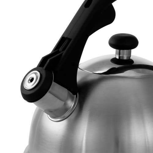 Mr Coffee Claale 2.2 Quart Brushed Stainless Steel Whistling Tea Kettle With Nylon Handle In Silver