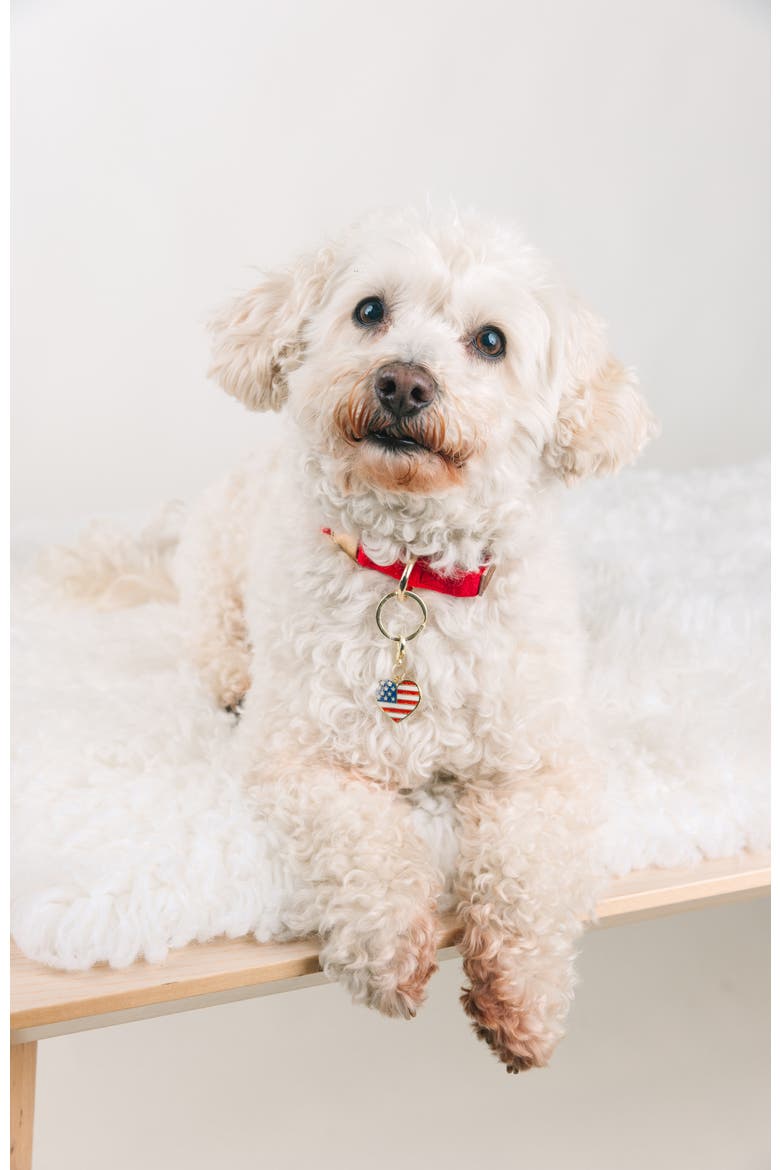 American Heart Pet Collar Charm, Alternate, color, American Heart