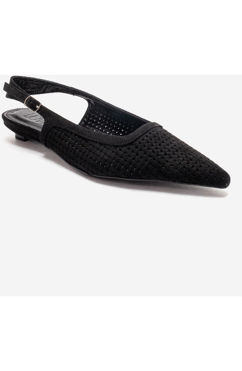 Prologue Shoes Aviva Slingback Pointed Toe Pump, Alternate, color, Black Suede