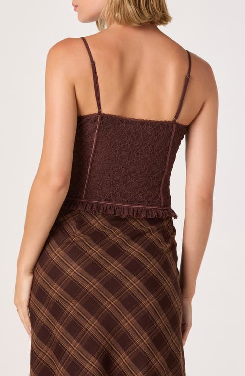 Astr The Label Lace Bustier Crop Camisole In Brown