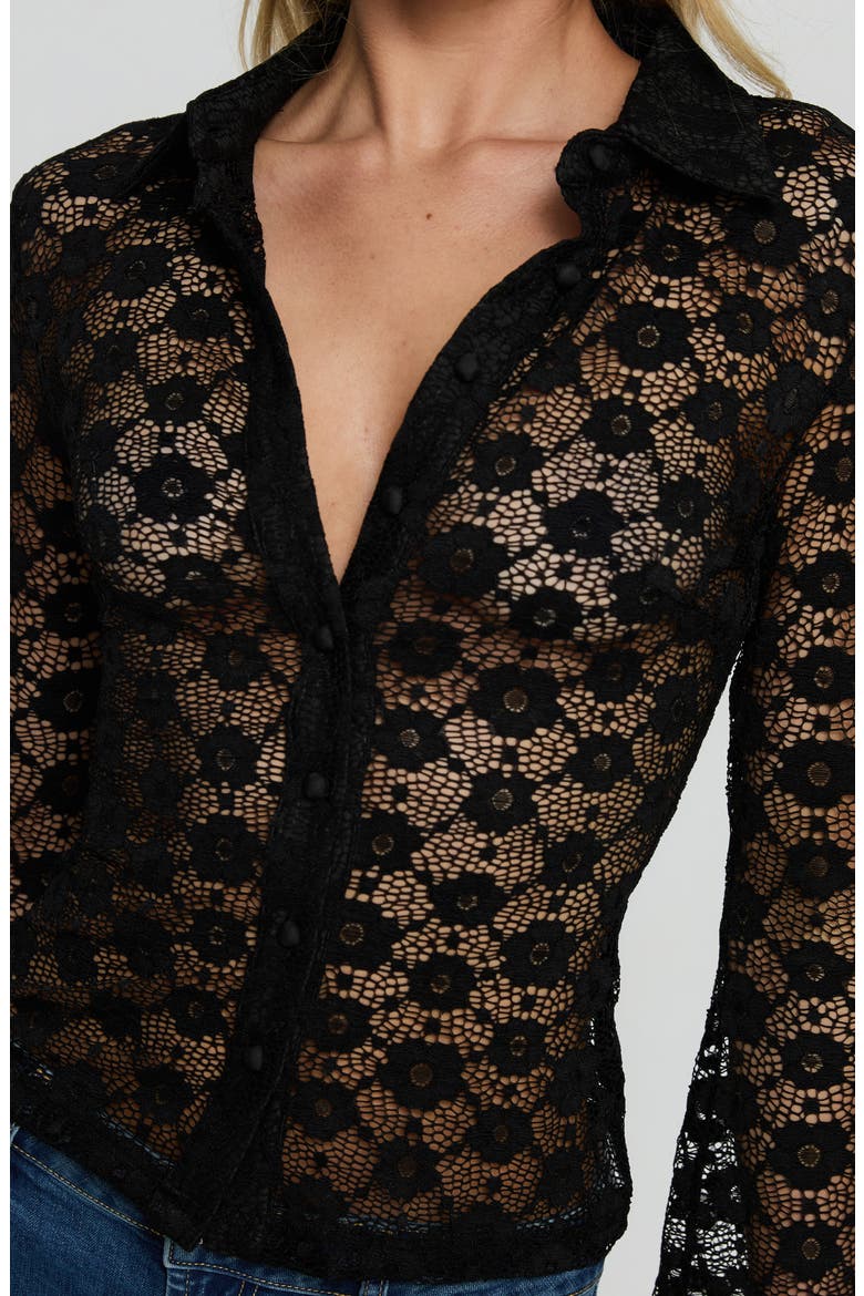 Enisa Long Sleeve Button-Up Lace Top, Alternate, color, BLACK