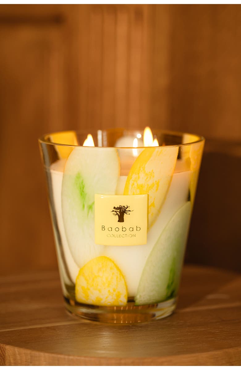 Baobab Collection Riviera Santo Sospir Scented Candle, Alternate, color, Green Multi