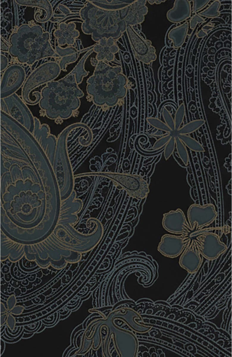 Lords of Harlech Paisley Explosion Womens V-neck Printed Top, Alternate, color, Paisley Explosion Black