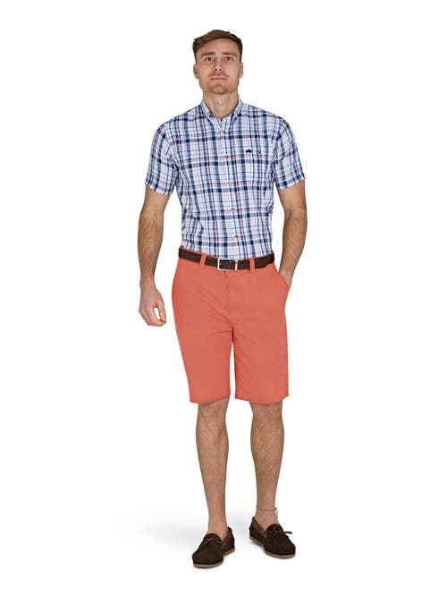 Raging Bull Chino Short In Orange