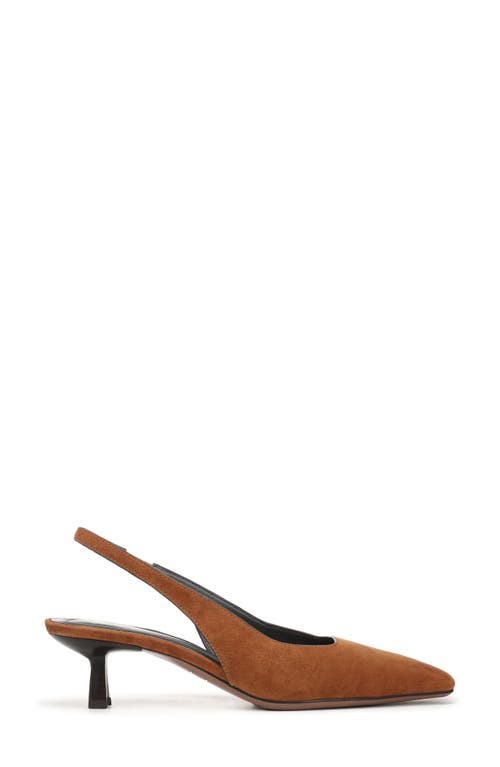 Sarto By Franco Sarto Raven Slingback Kitten Heel Pump