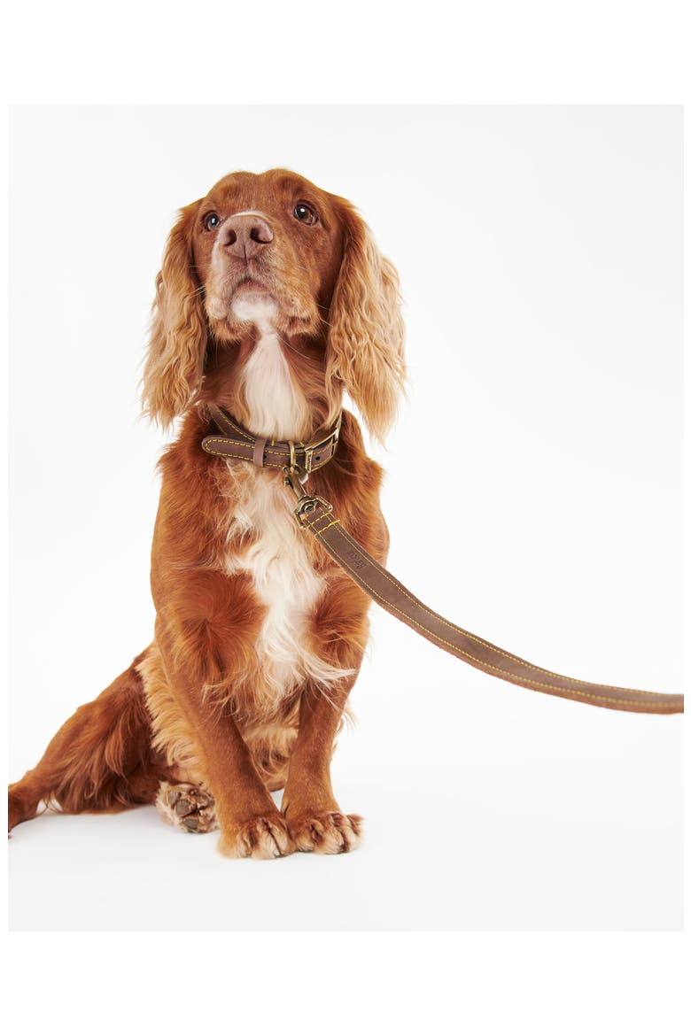 Leather Dog Leash, Alternate, color, CLASSIC TARTAN