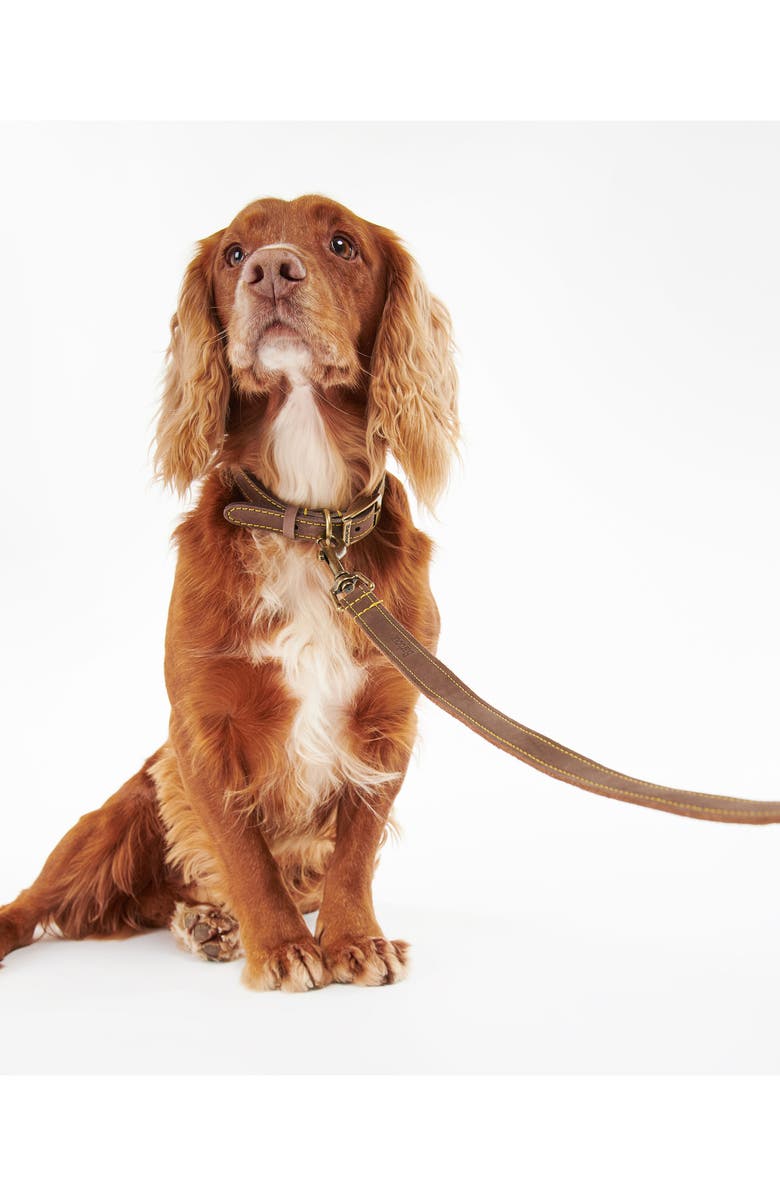 Barbour Leather Dog Leash, Alternate, color, Classic Tartan