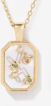 Little Sky Stone Birthstone Zodiac Charm Necklace