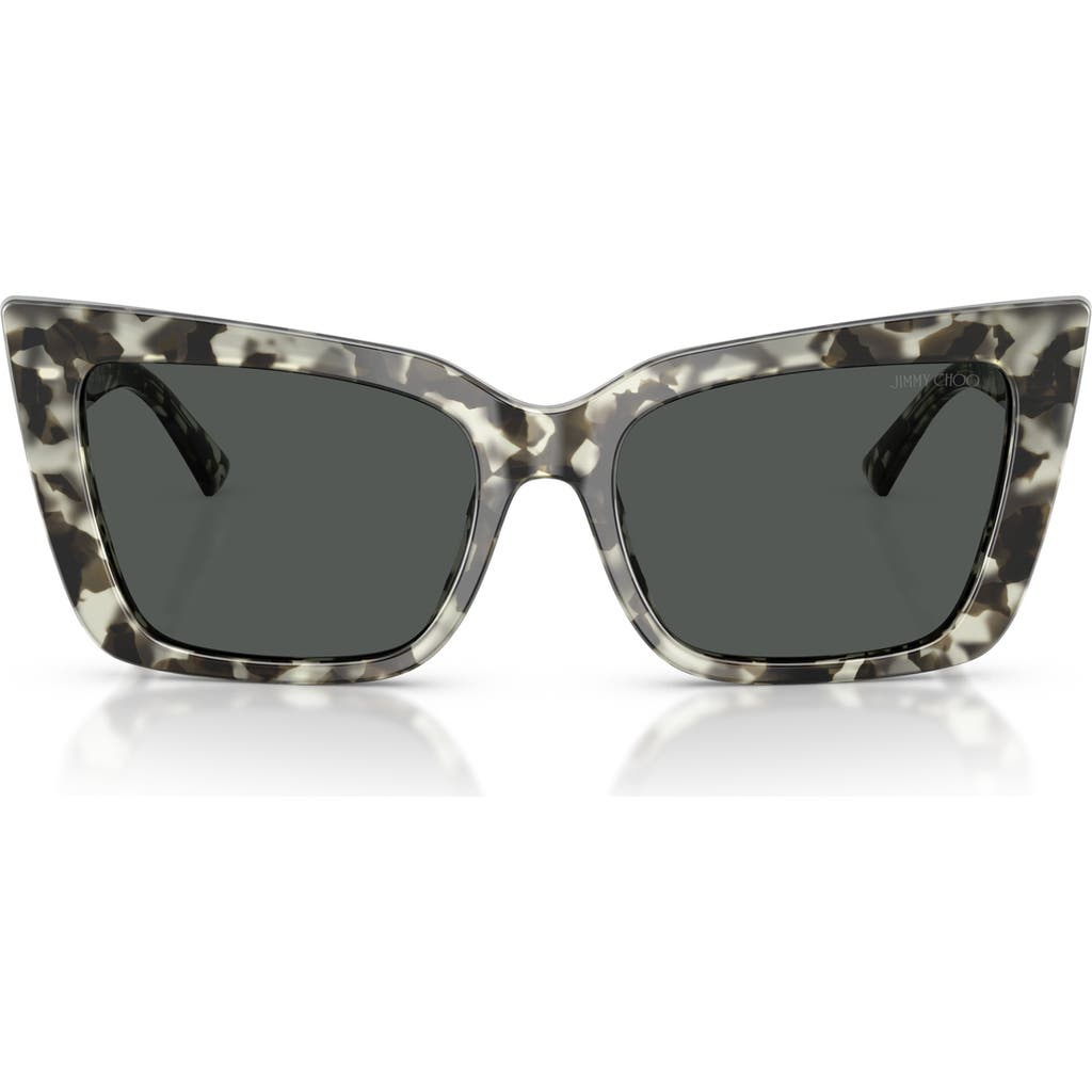 Jimmy Choo 54mm Butterfly Sunglasses
