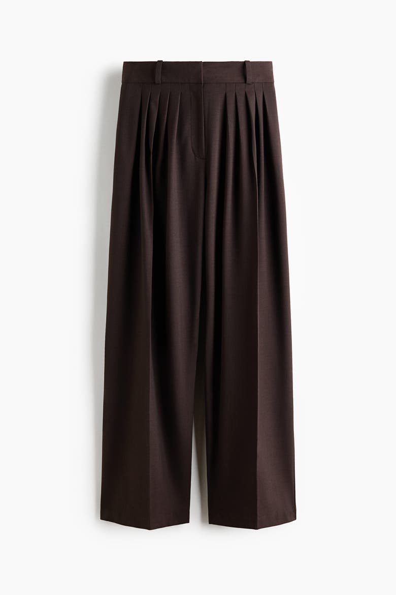 Wide-leg Pleated Pants, Alternate, color, Dark brown
