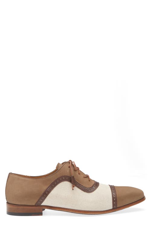 Mezlan Ayna Plain Toe Oxford In Olive Multi